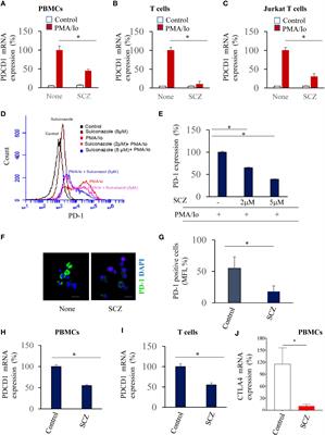 Sulconazole inhibits PD-1 expression in immune cells and cancer cells malignant phenotype through NF-κB and calcium activity repression